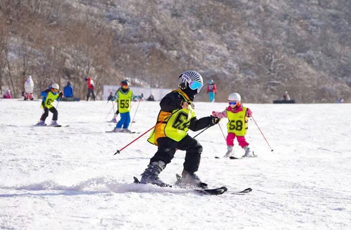 西安冬令营研学